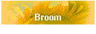 Broom