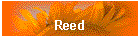 Reed