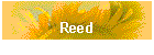 Reed