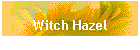 Witch Hazel