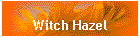 Witch Hazel