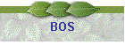 BOS