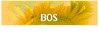 BOS