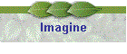 Imagine