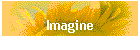 Imagine