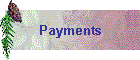 Payments