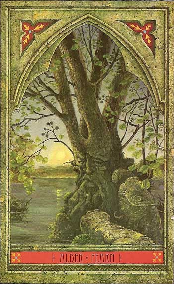 Green Man Tree Oracle