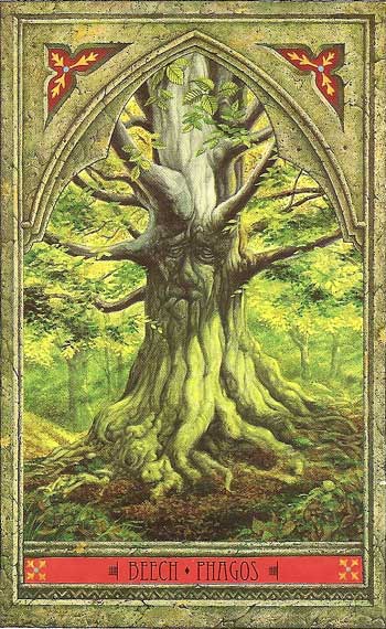 The Green Man Tree Oracle