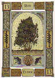 The Celtic Tree Oracle