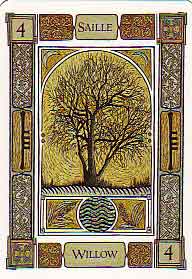 The Celtic Tree Oracle by Liz and Colin Murray