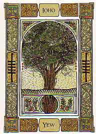 The Celtic Tree Oracle by Liz and Colin Murray