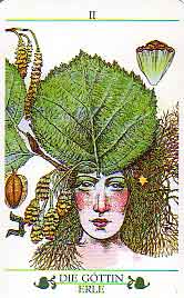 Das Baum Tarot - Alder - II High Priestess