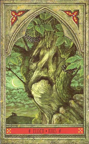 The Green Man Tree Oracle by John Matthews and Will Worthington