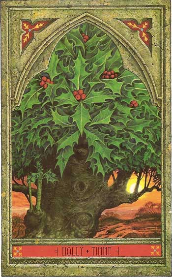 Celtic Tree Oracle