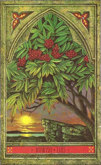 Green Man Tree Oracle