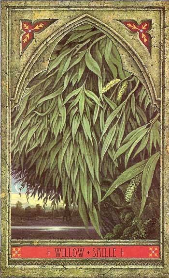 Green Man Tree Oracle