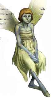 The Fairy Bible by Teresa Moorey